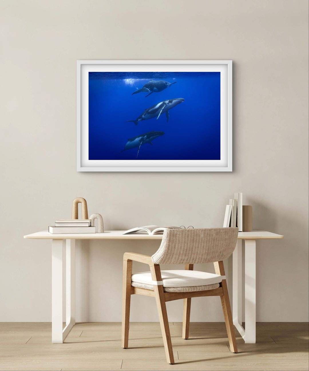 humpback whale 9