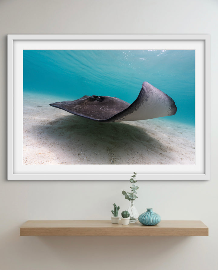 ray5