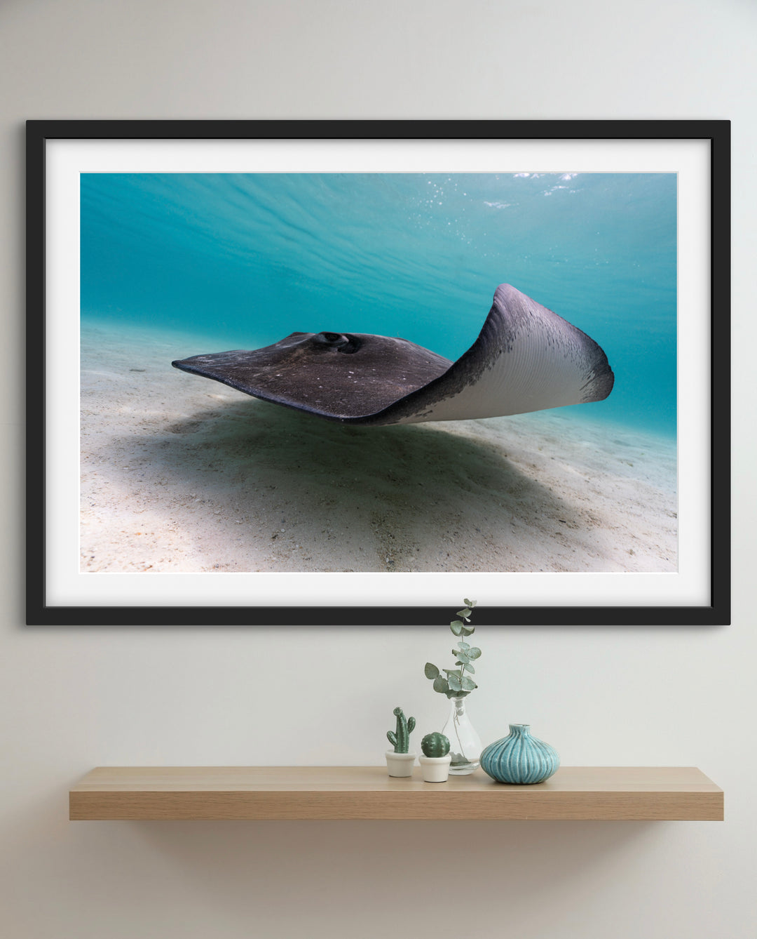 ray5