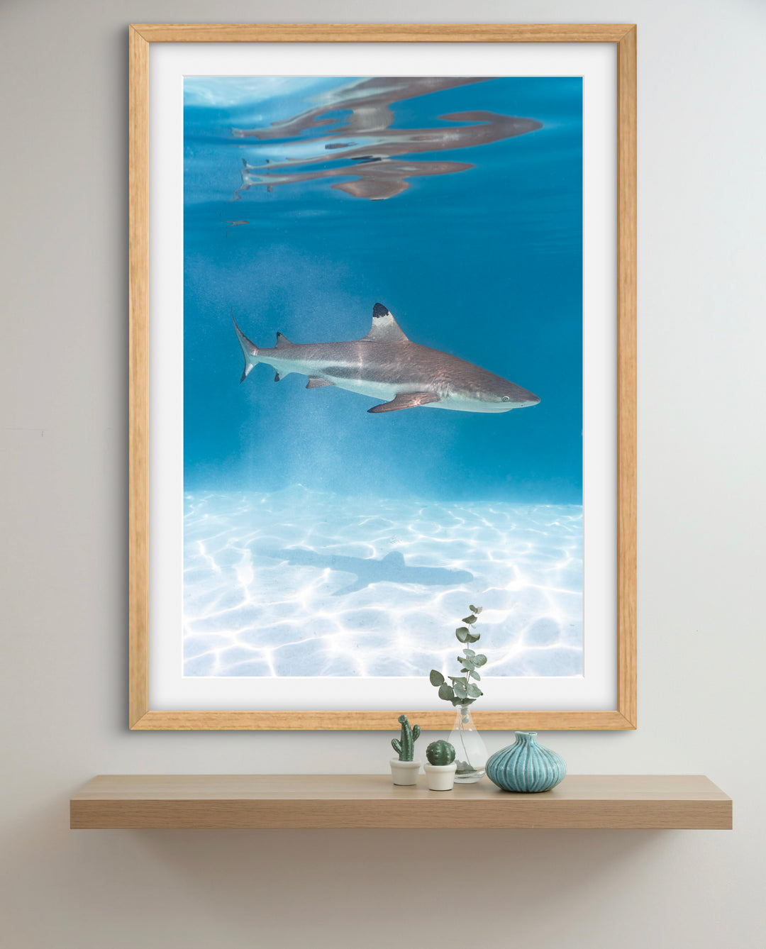 black tip 1
