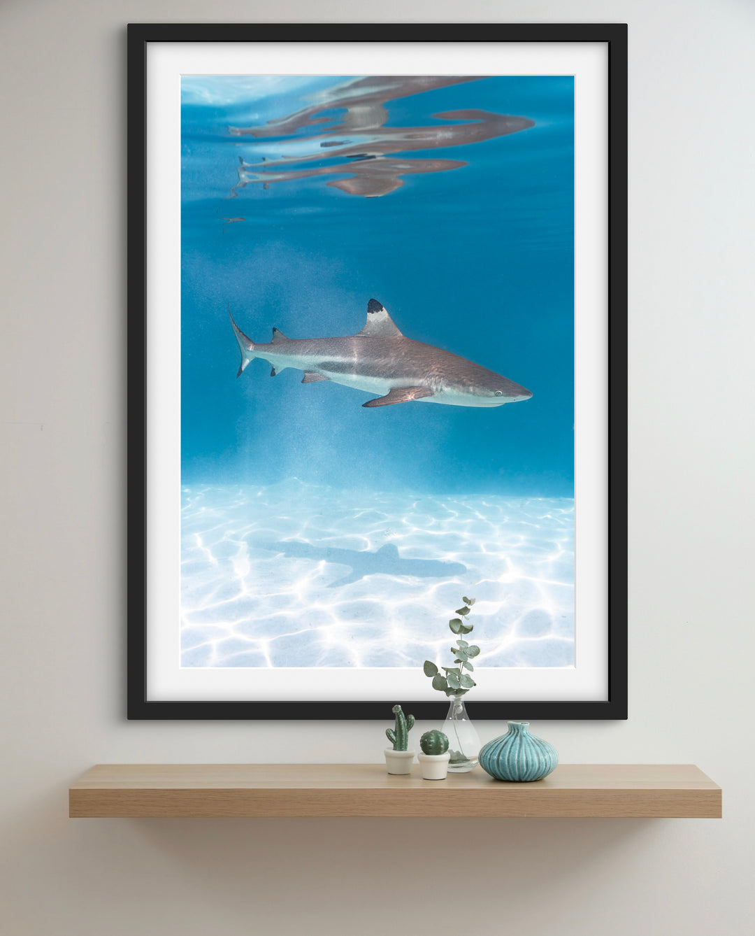 black tip 1
