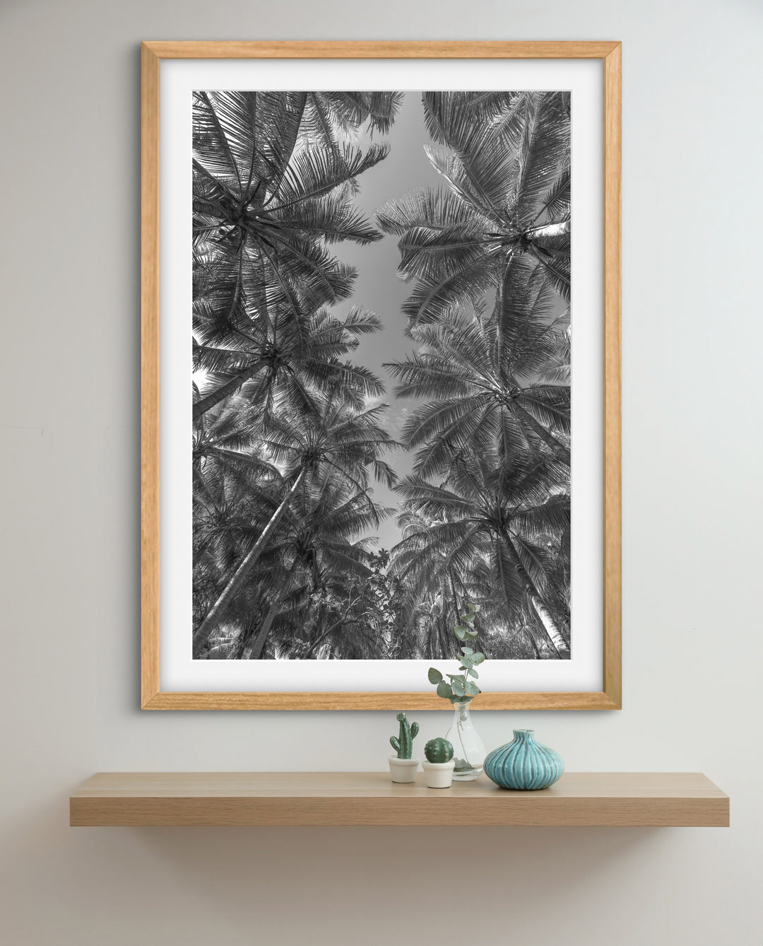 palms 1