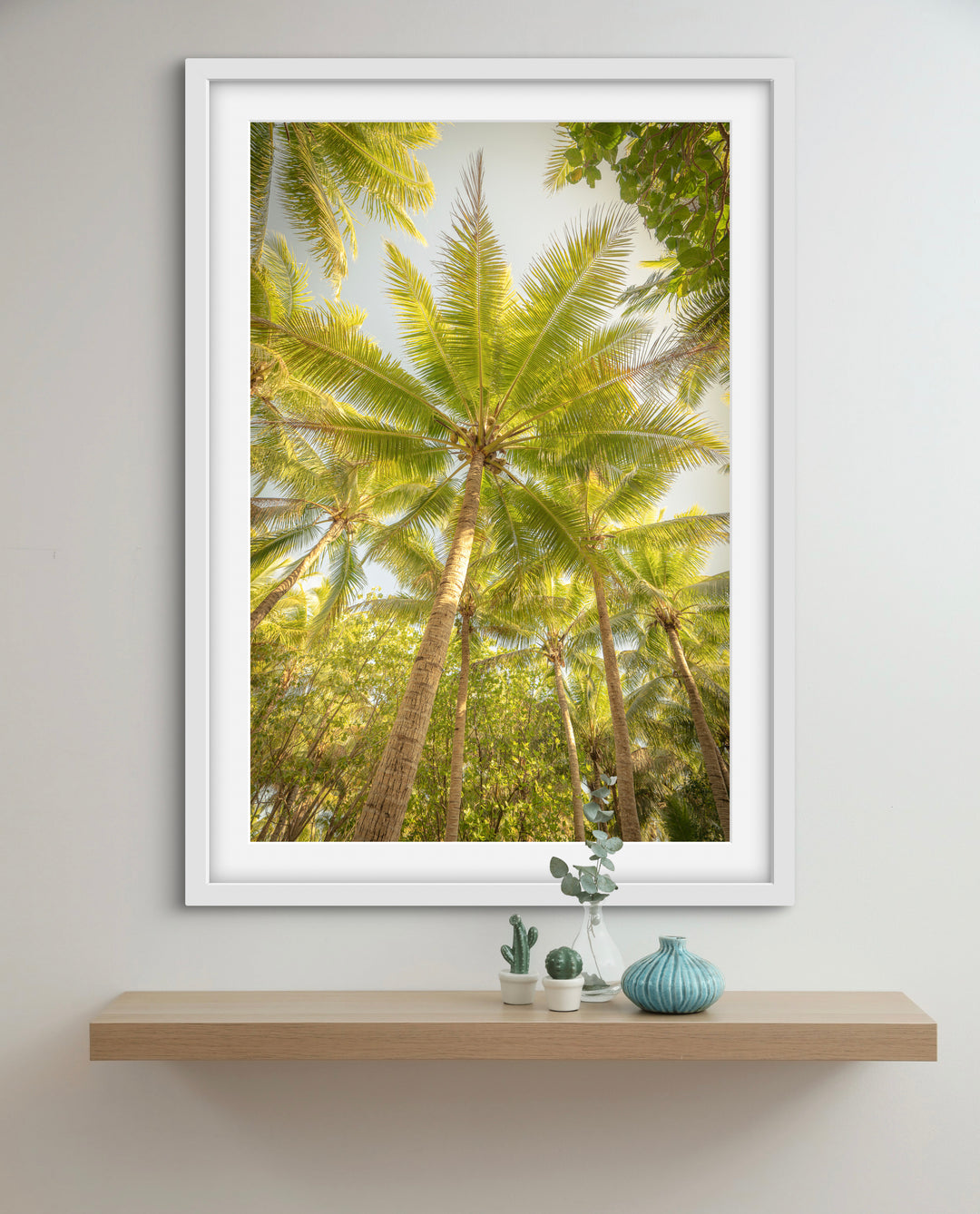 palms 4