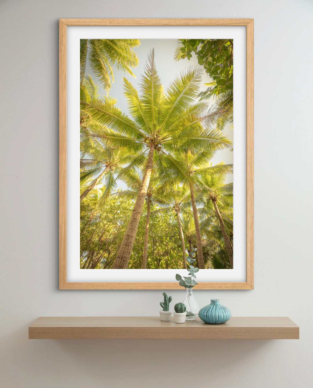 palms 4