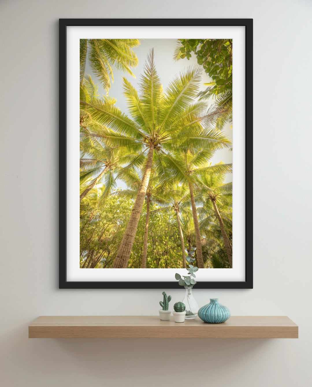 palms 4