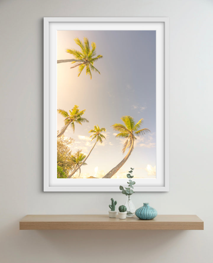palms 5