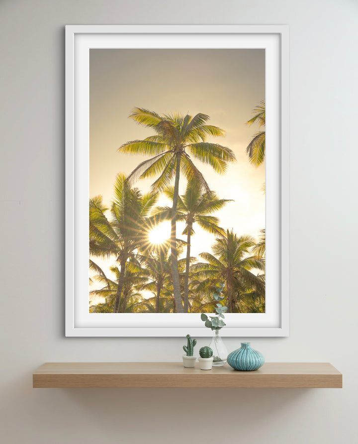 palms 9