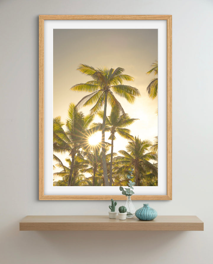 palms 9