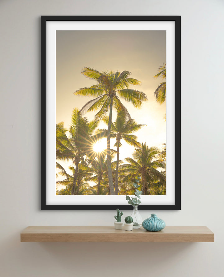 palms 9