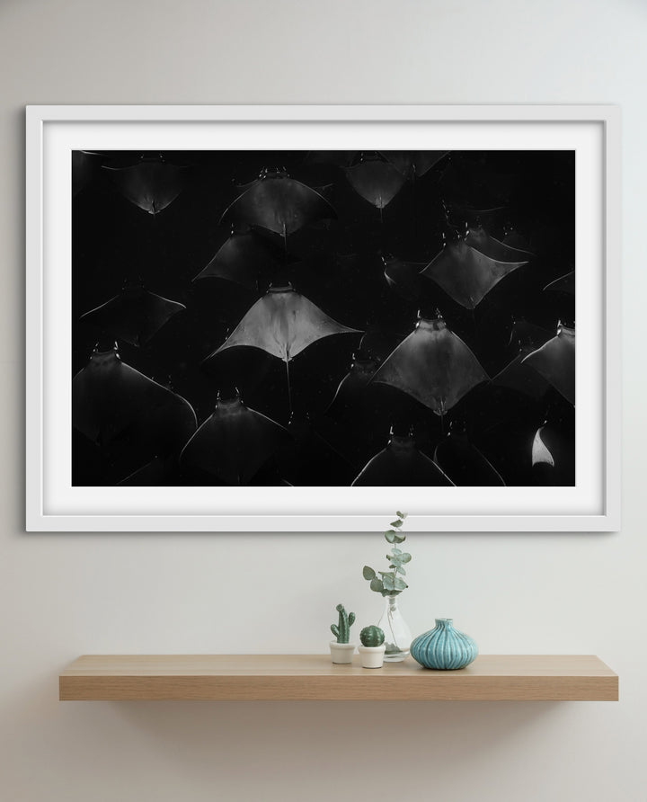 monochrome mobula 3