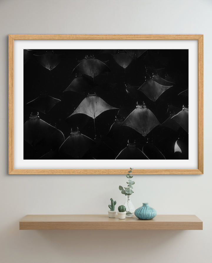 monochrome mobula 3