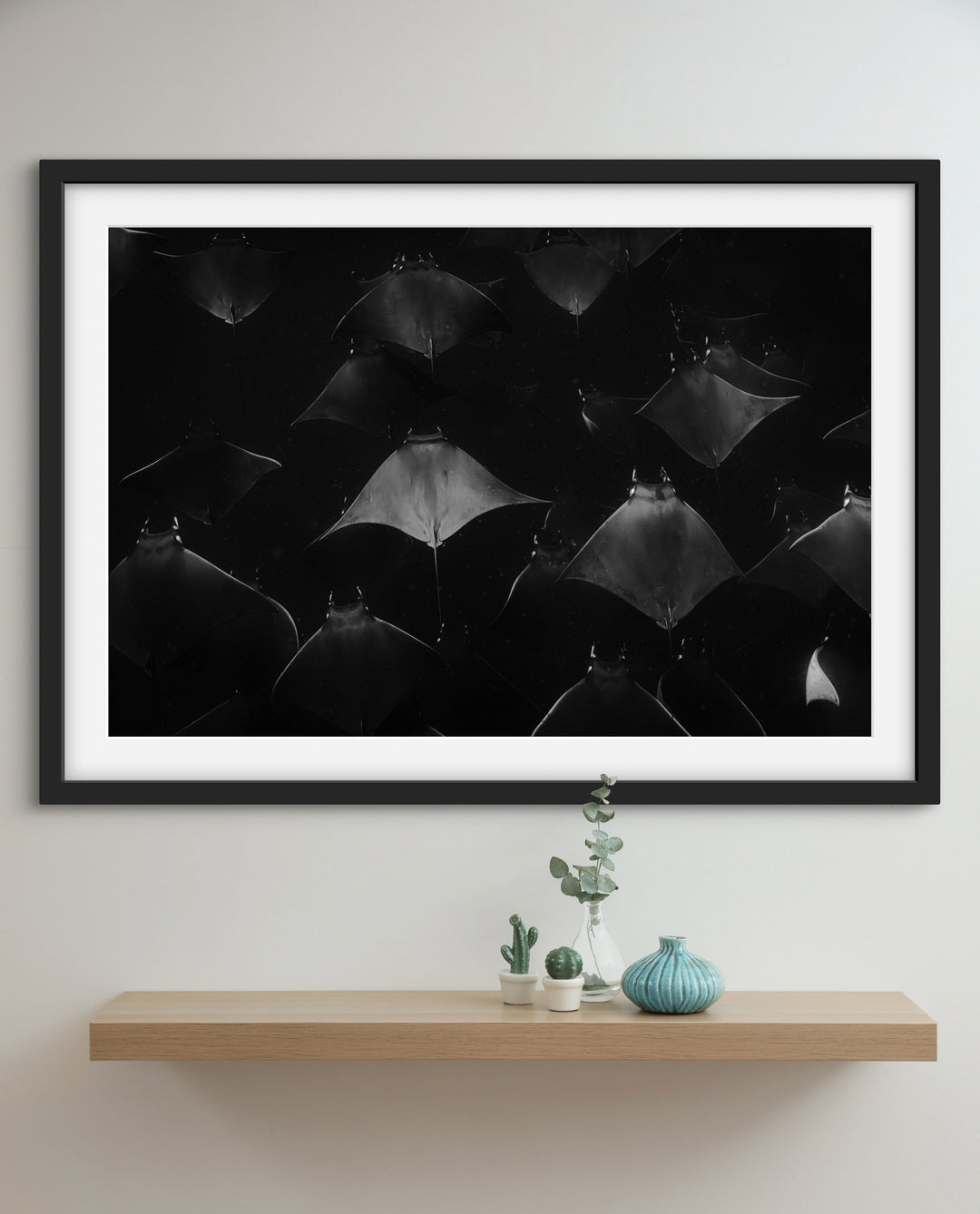 monochrome mobula 3