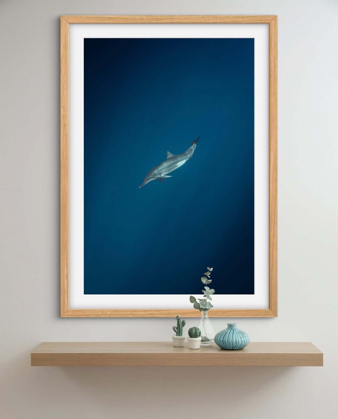 spinner dolphin 1