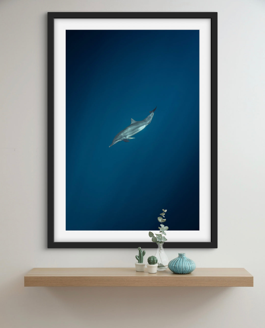 spinner dolphin 1