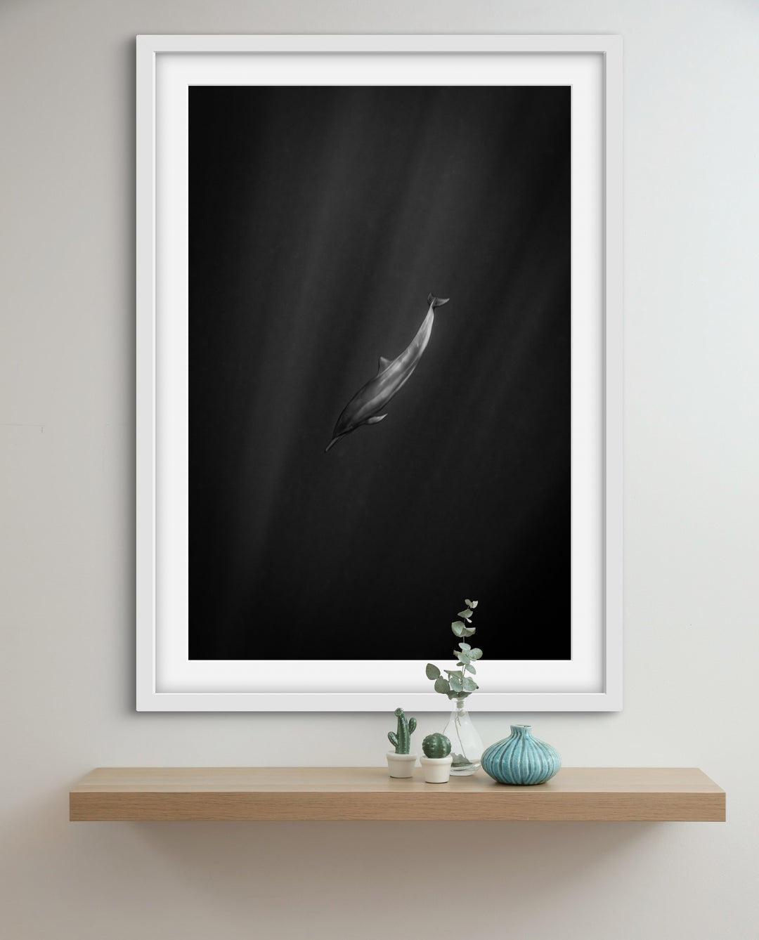 spinner dolphin 2