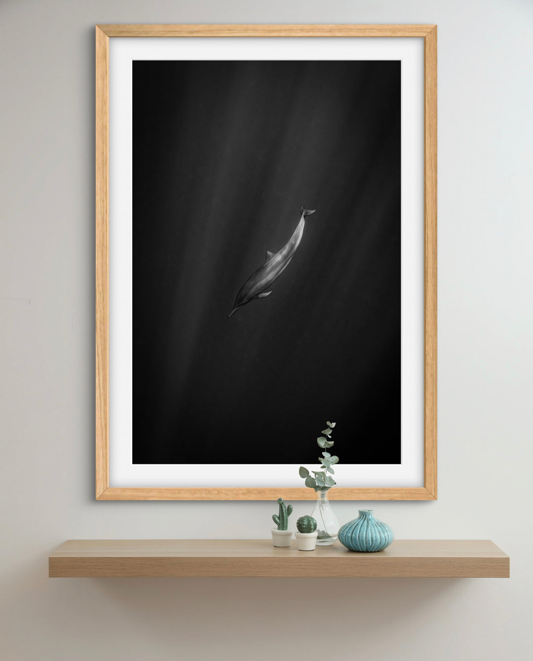 spinner dolphin 2