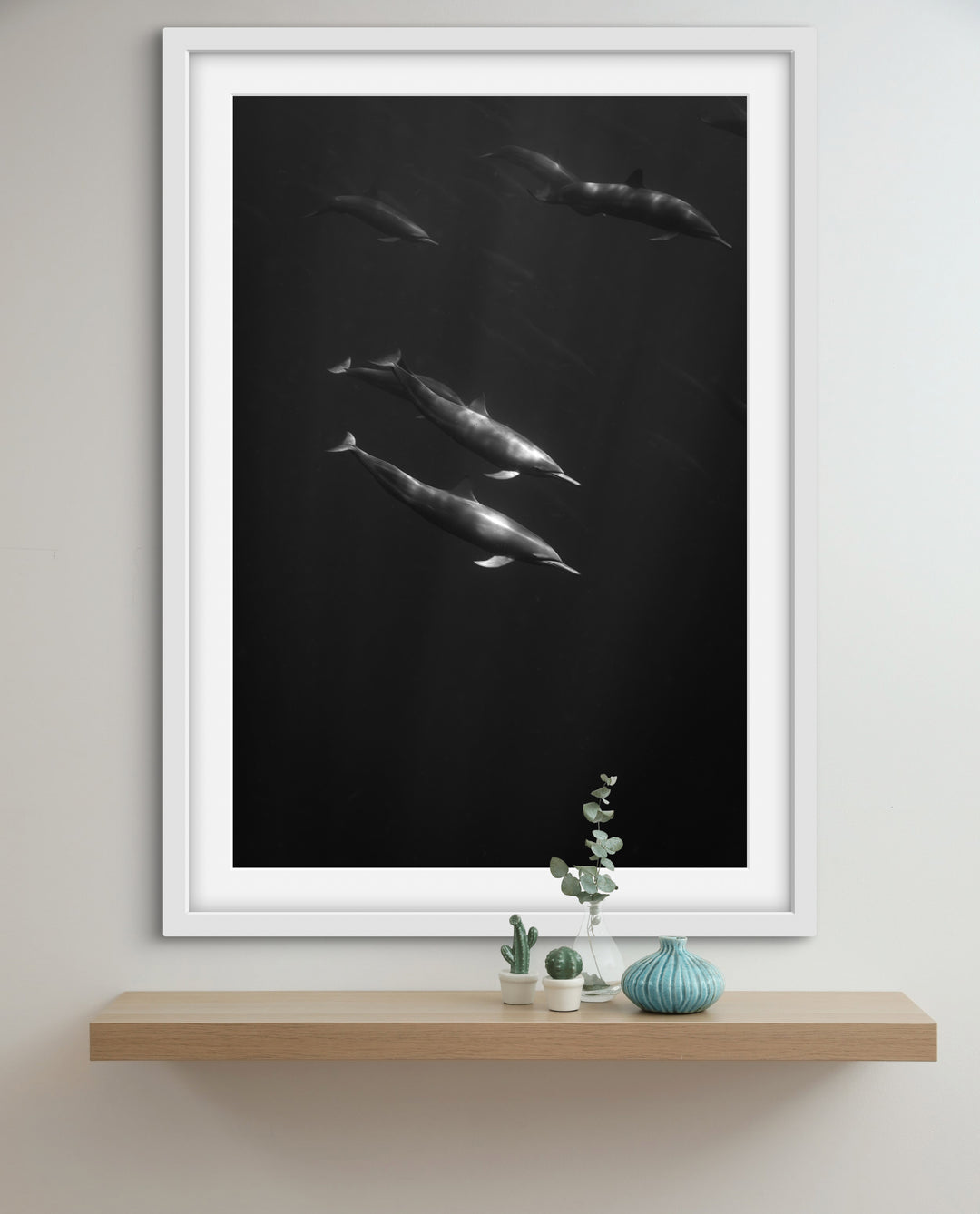 spinner dolphin 4