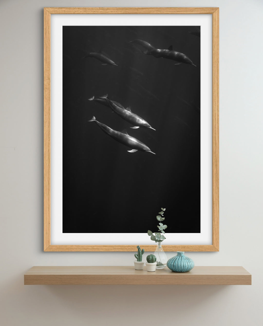 spinner dolphin 4