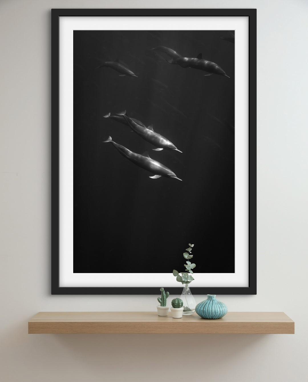spinner dolphin 4