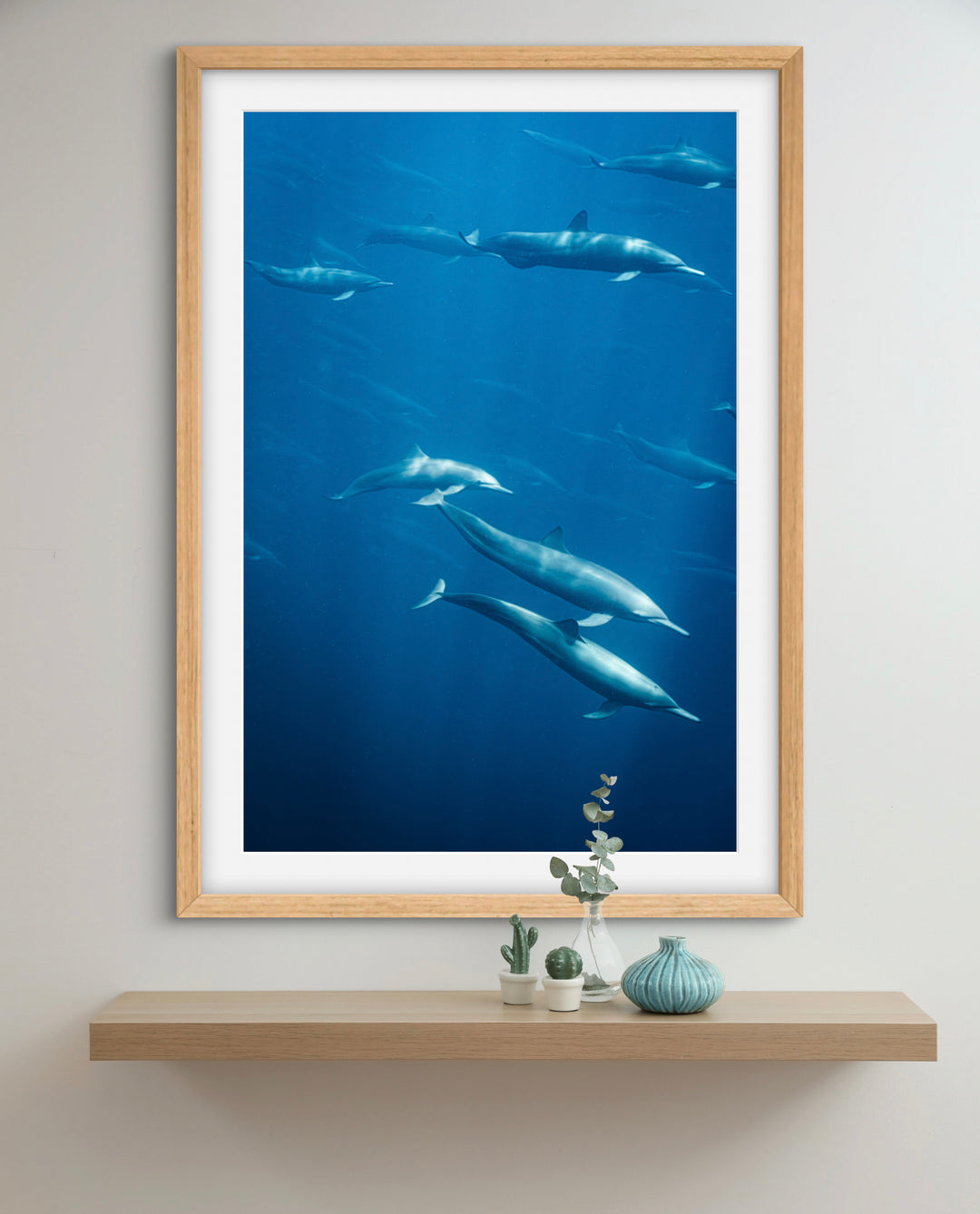 spinner dolphin 3