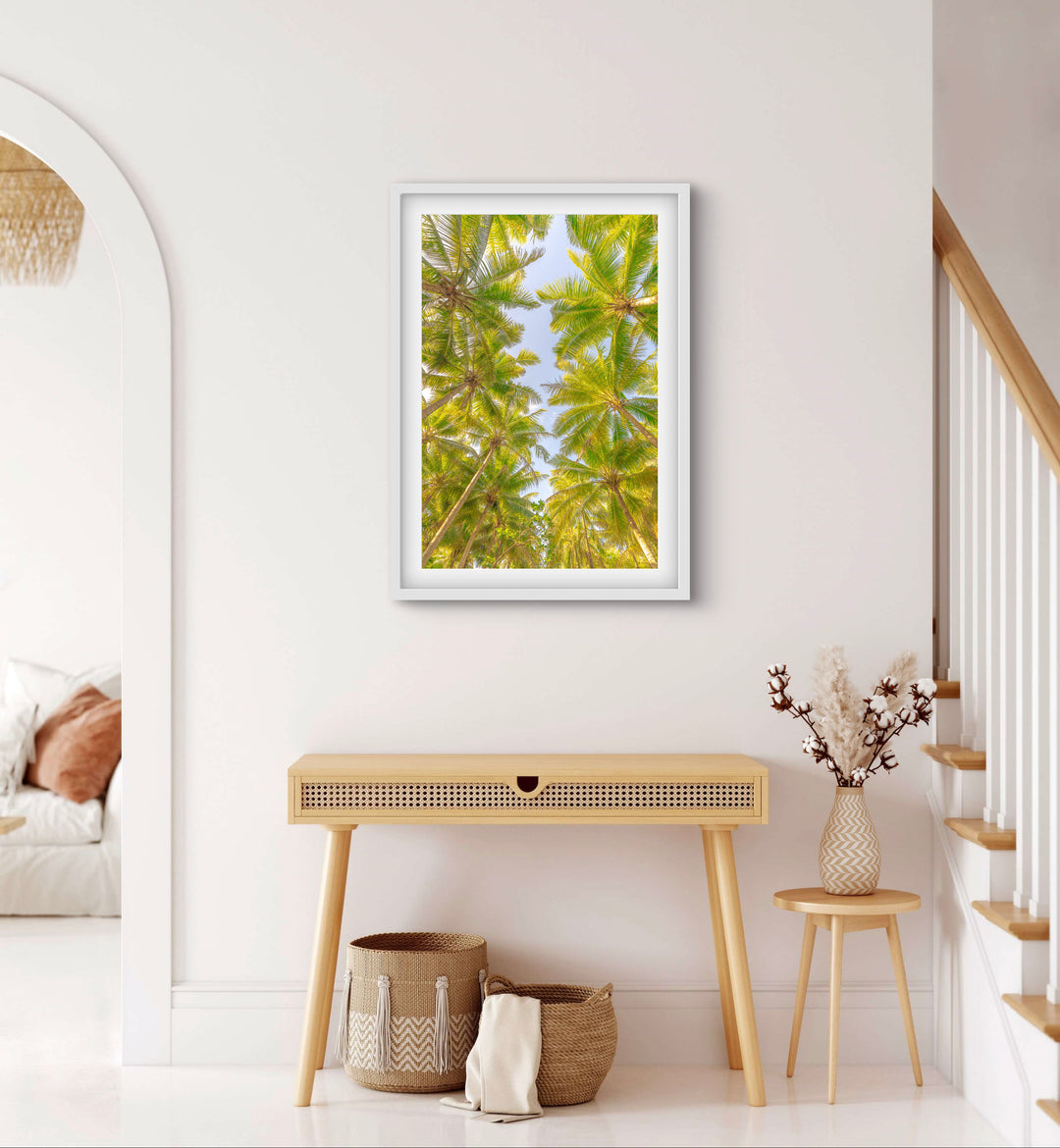 palms 2