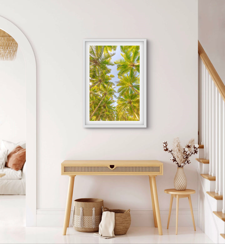 palms 2