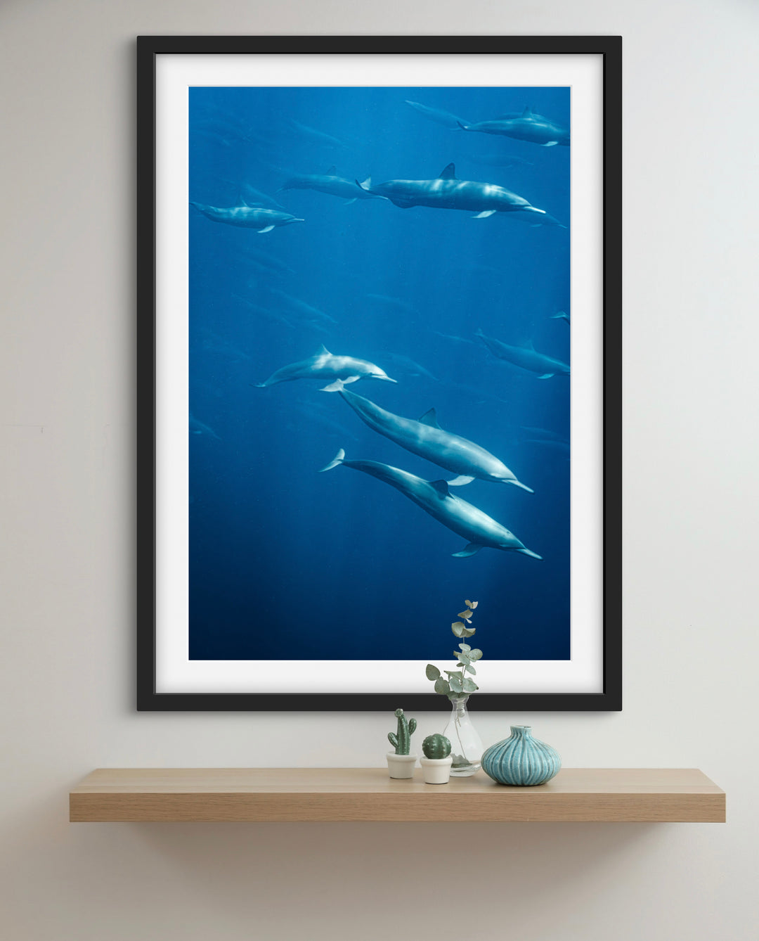 spinner dolphin 3