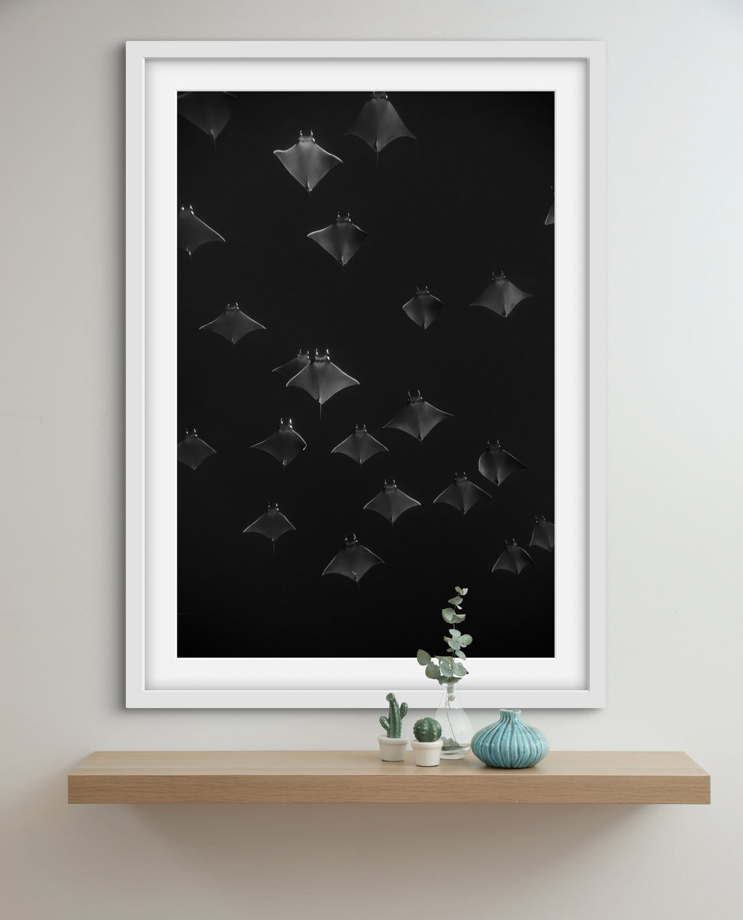 monochrome mobula 4