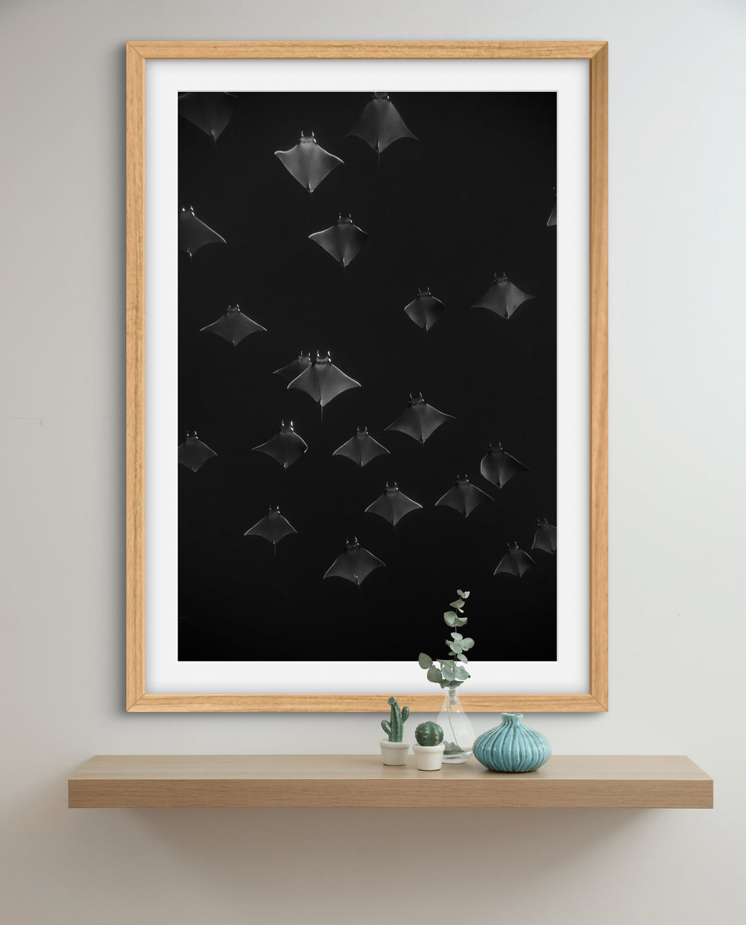 monochrome mobula 4