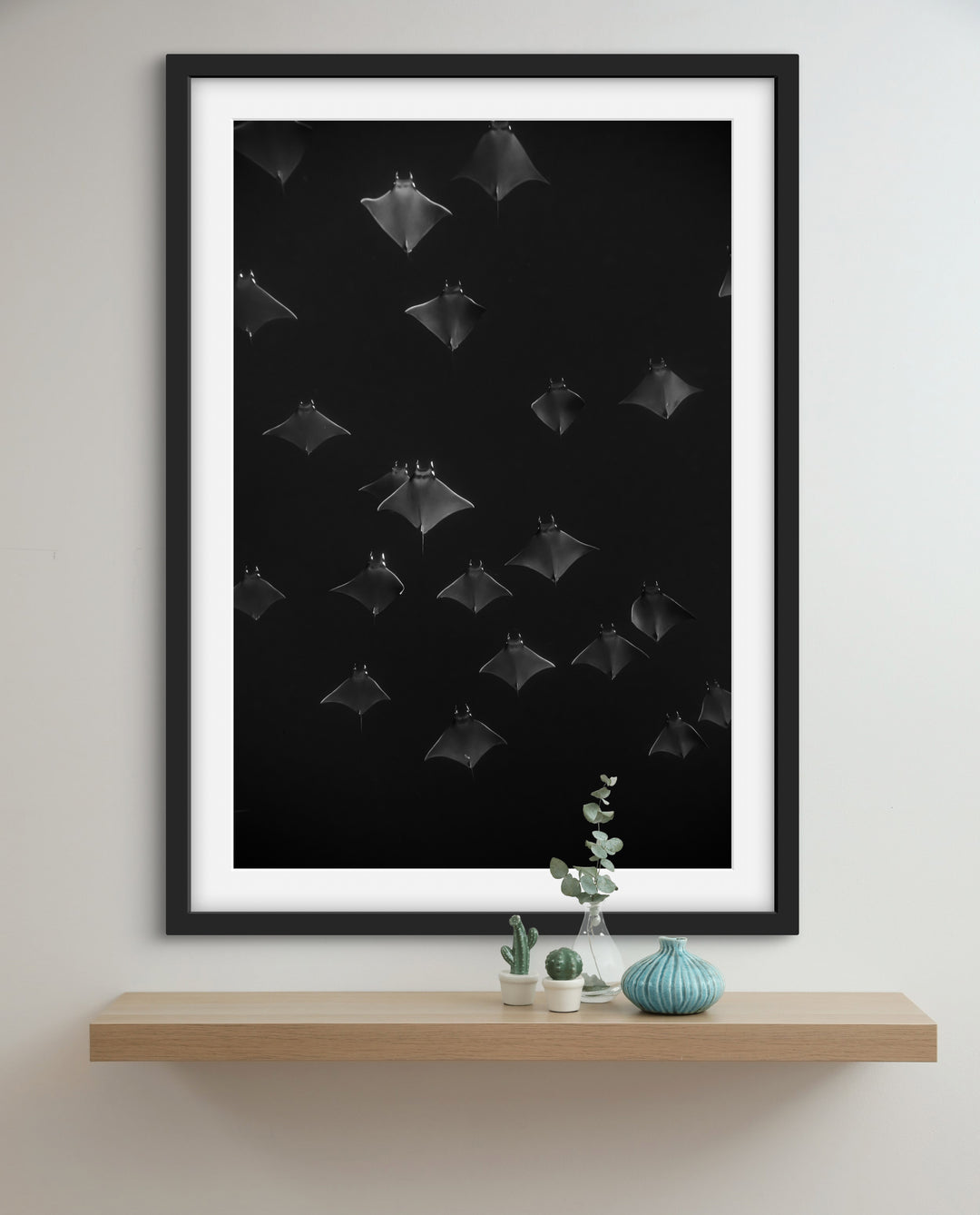 monochrome mobula 4