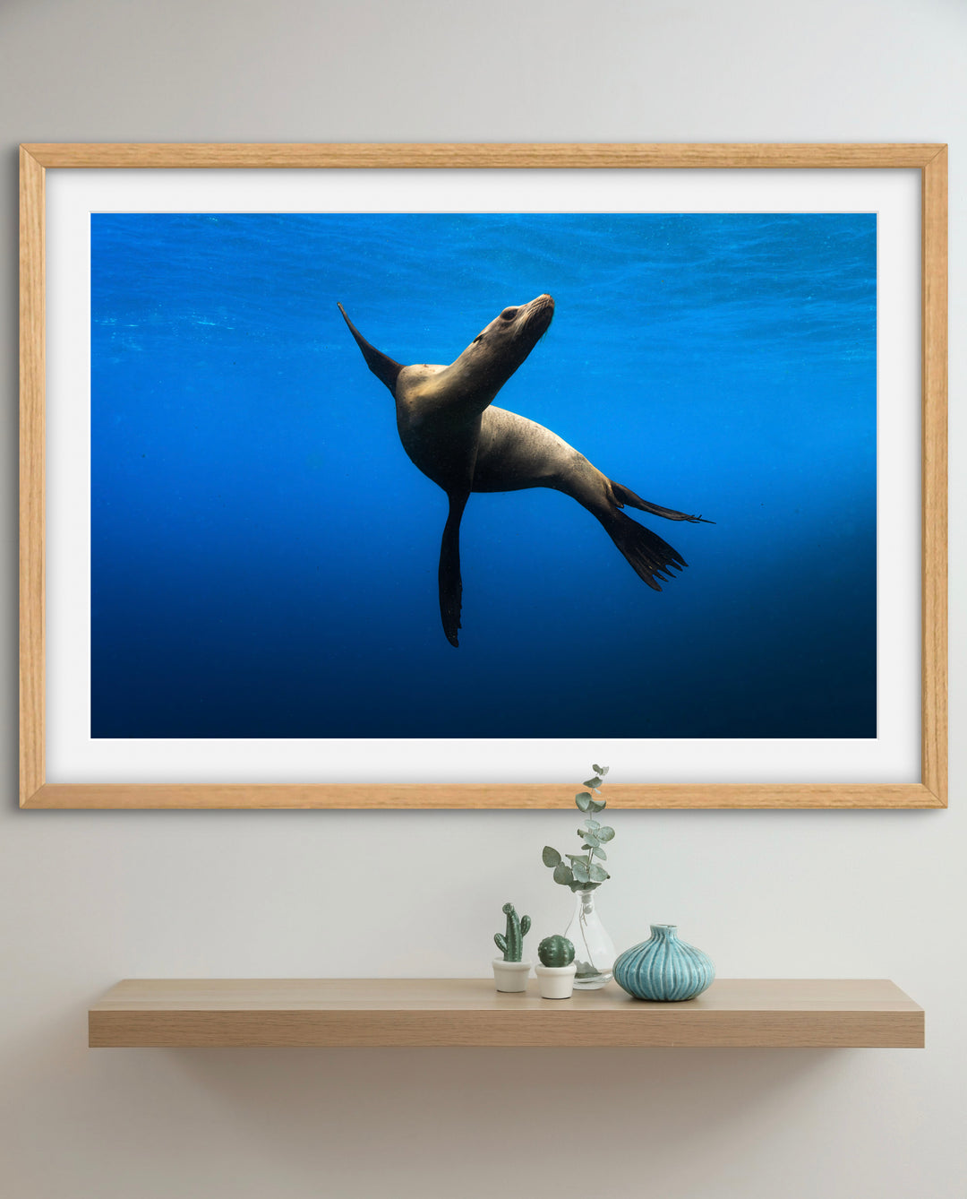 sea lion 2