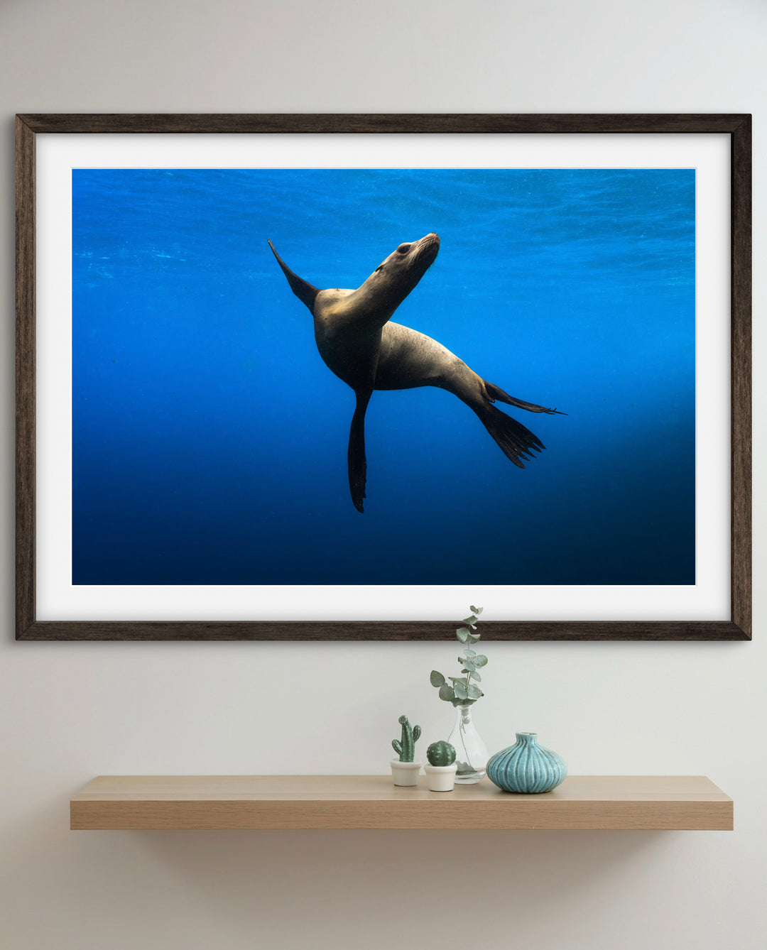 sea lion 2