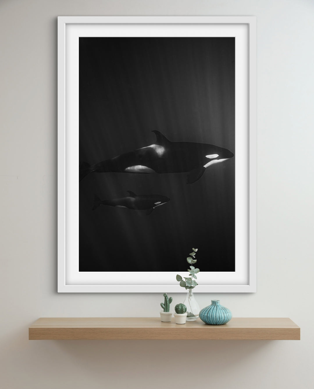 orca 1