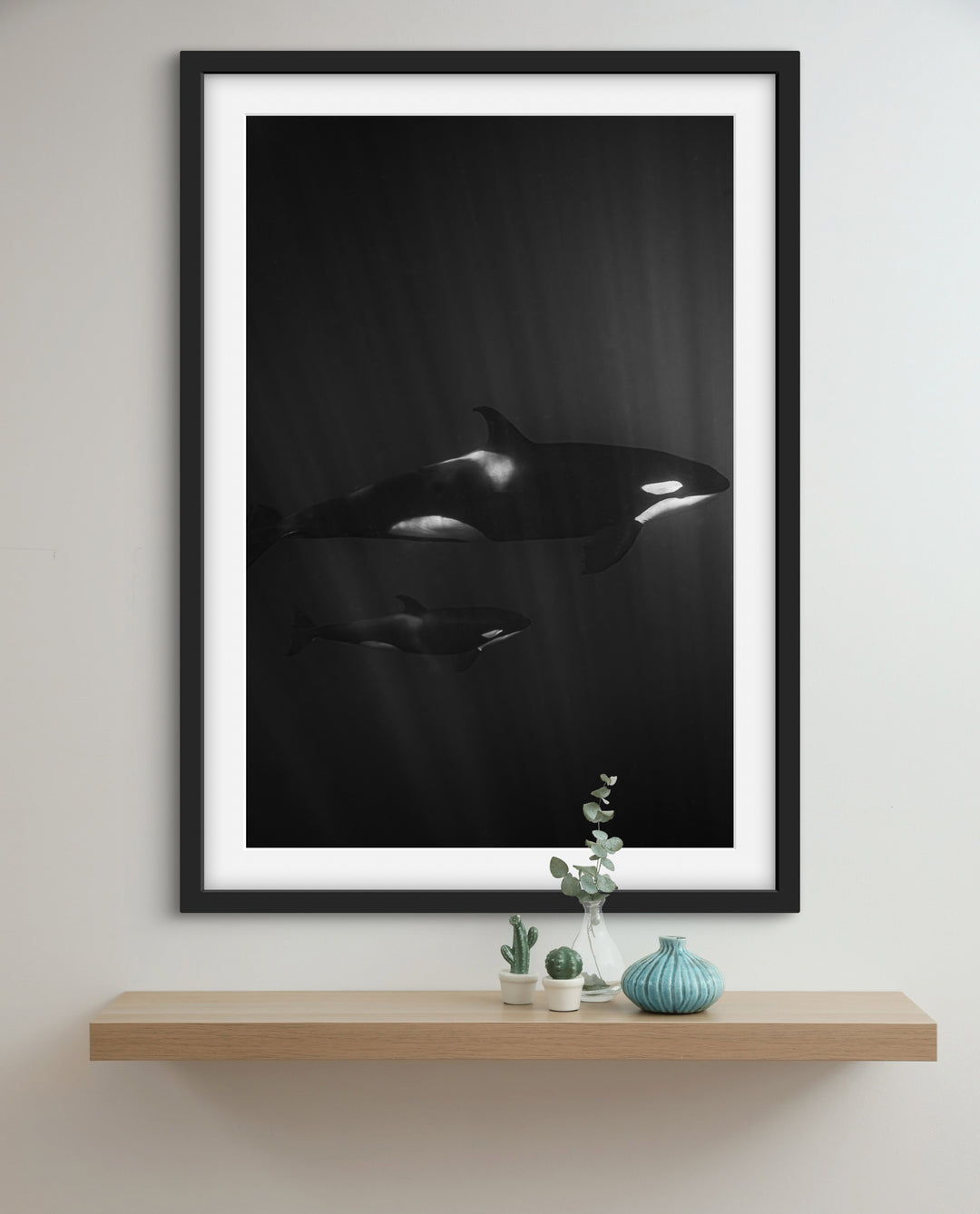 orca 1