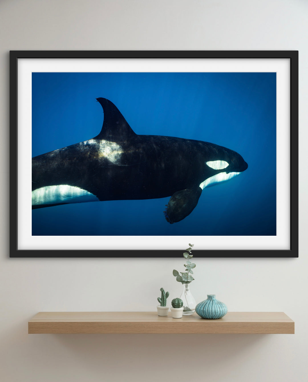 orca 2