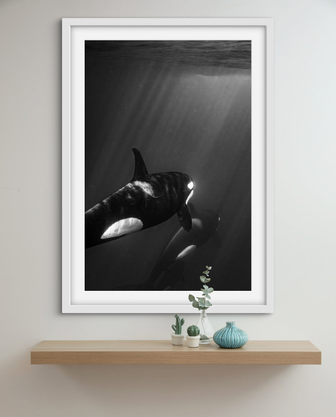 orca 3