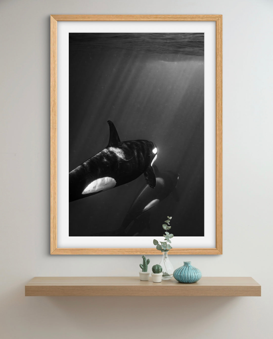 orca 3