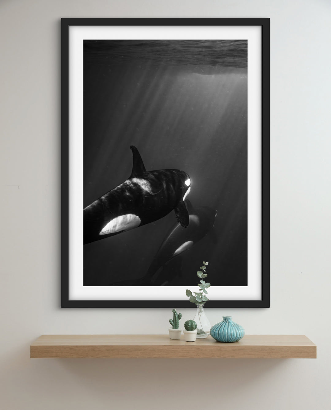 orca 3