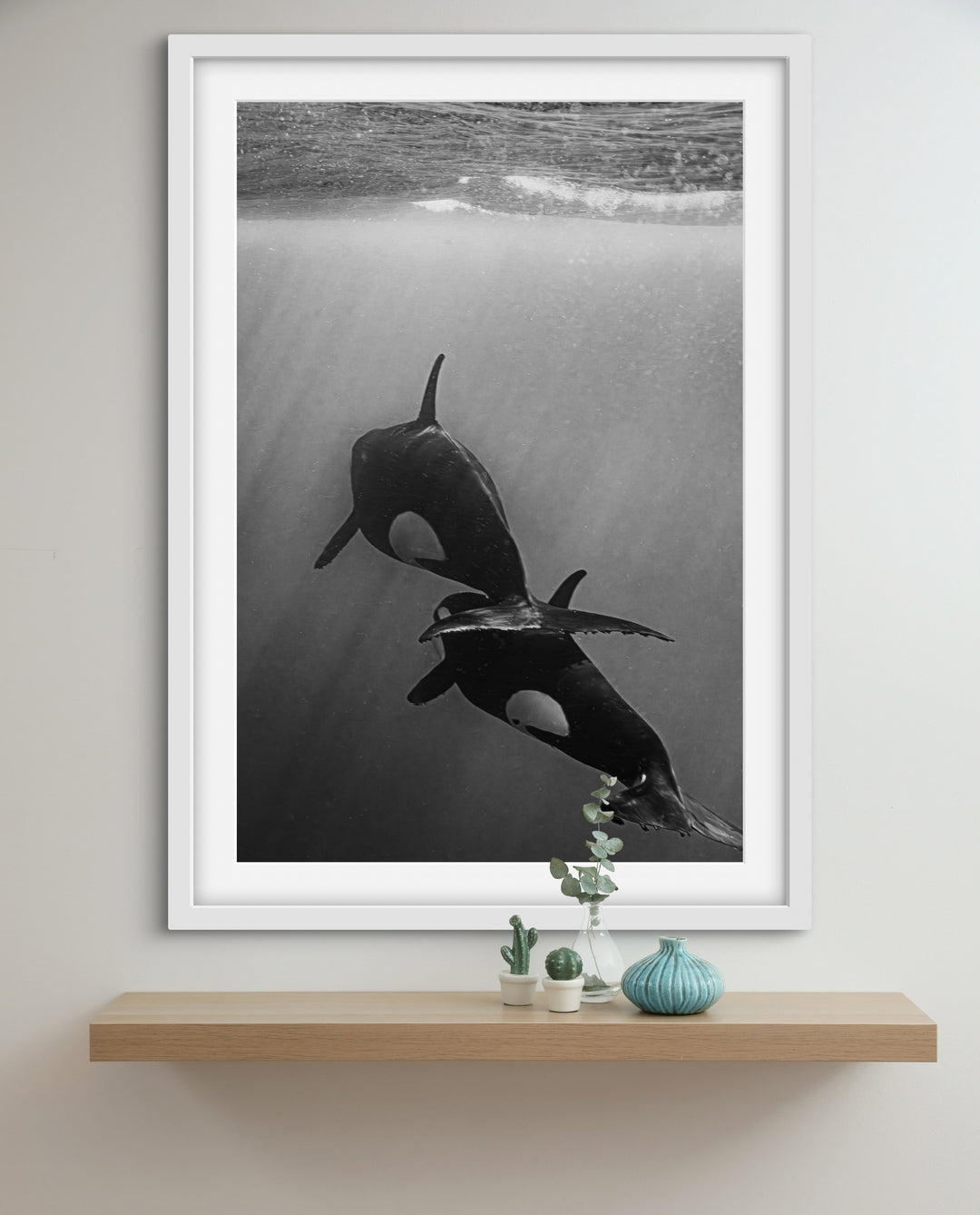 orca 4