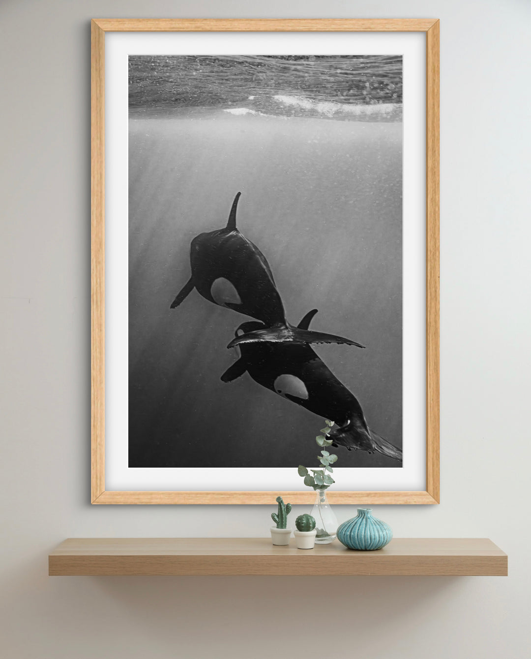 orca 4