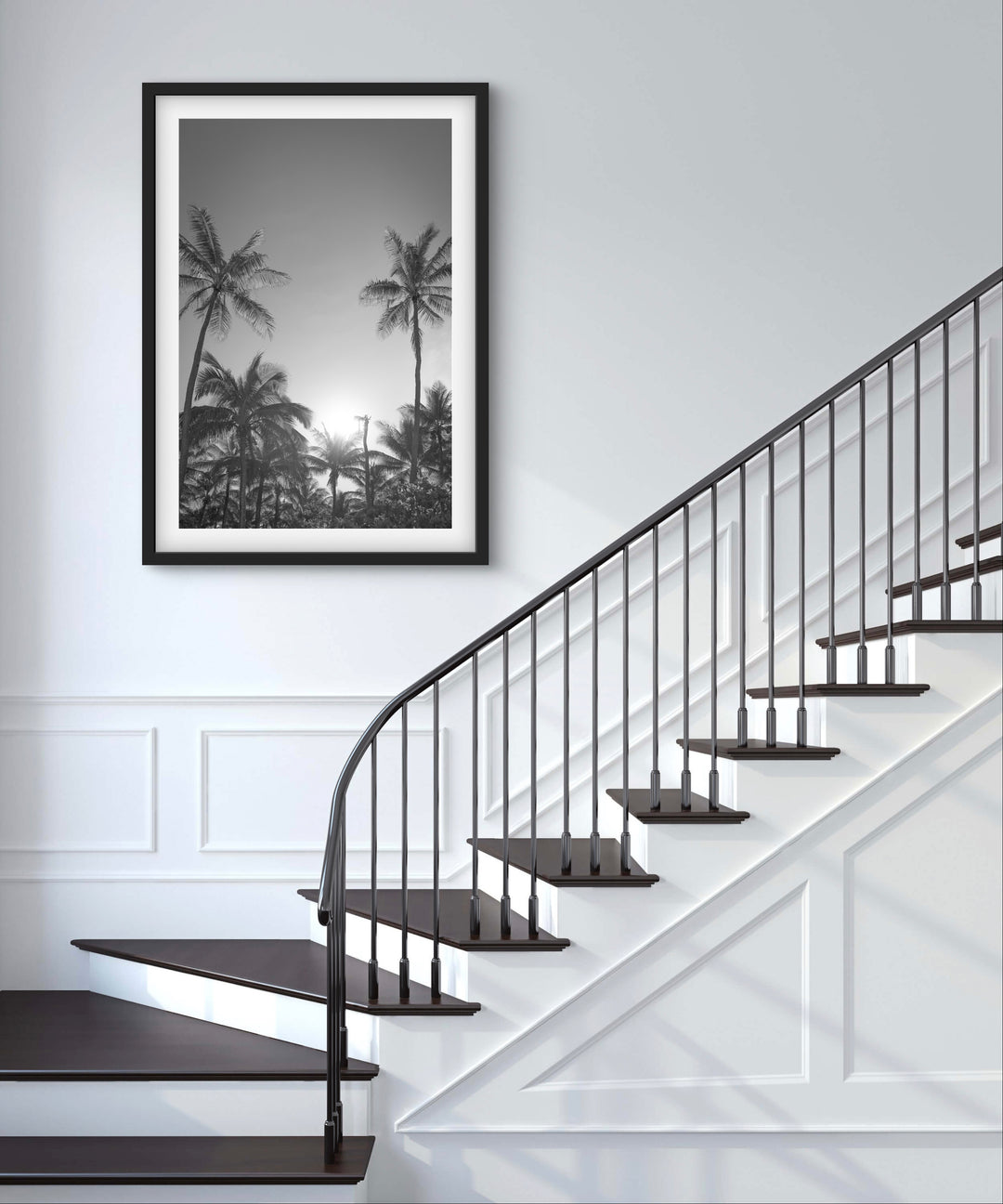 palms 6
