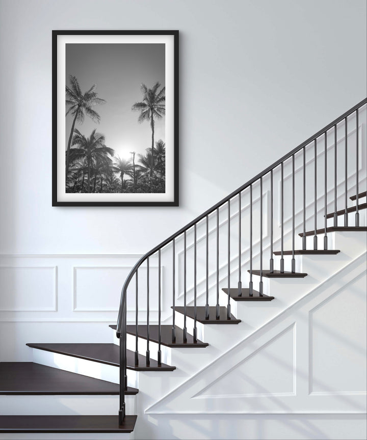 palms 6