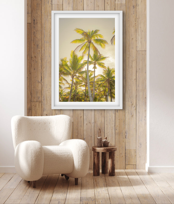 palms 8