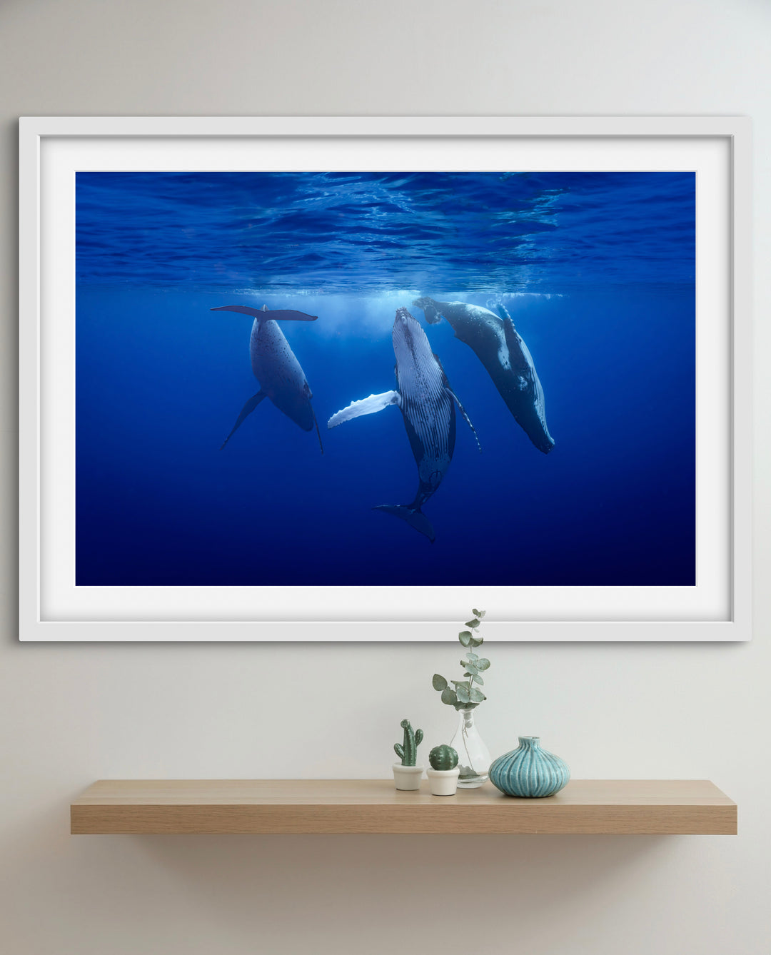 Humpback whale 10
