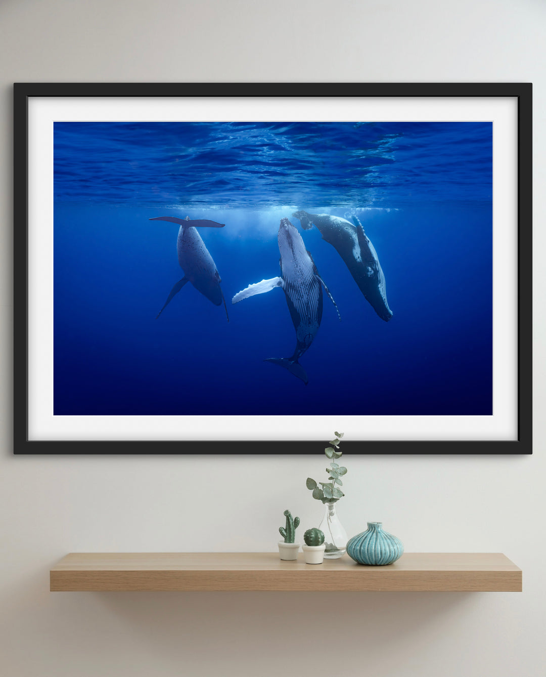 Humpback whale 10