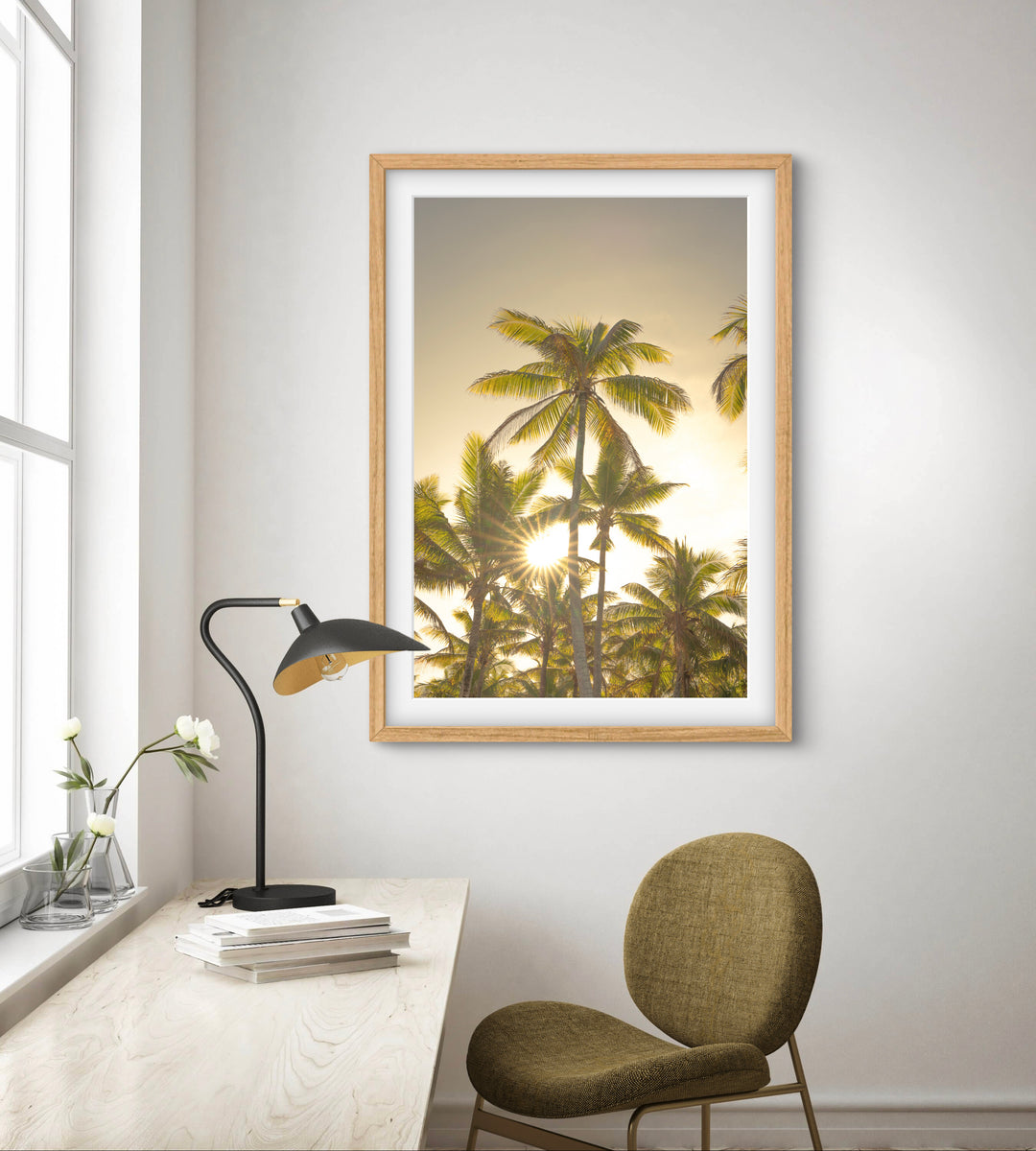 palms 9