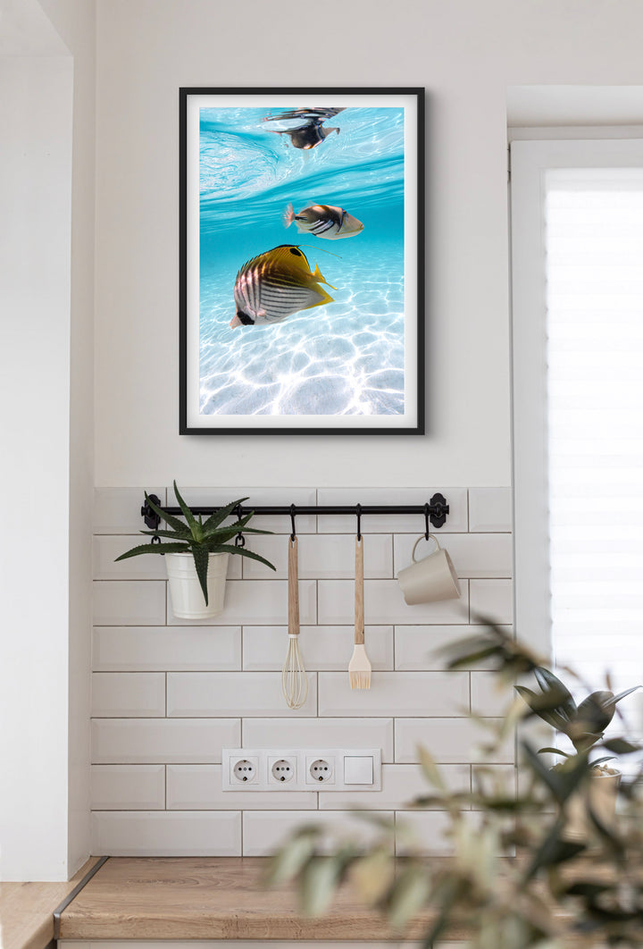 tropical fish 2