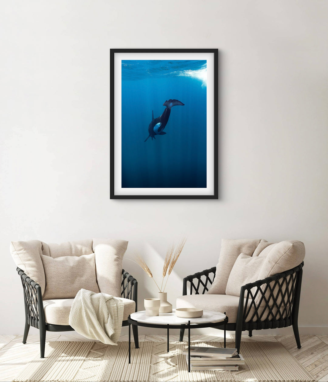 orca 5