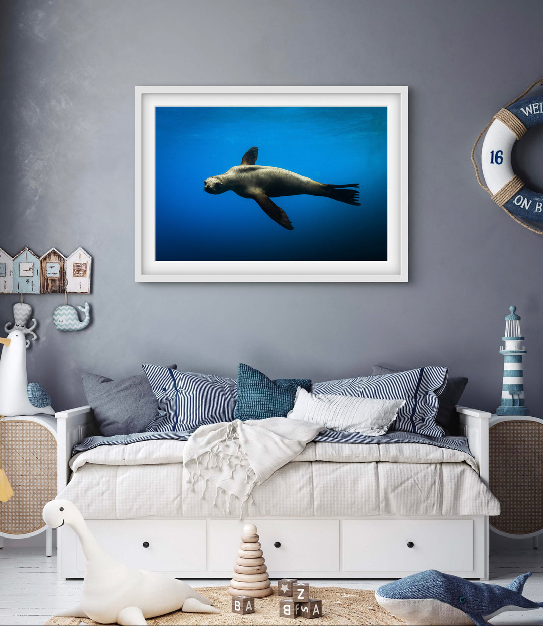 sea lion 3