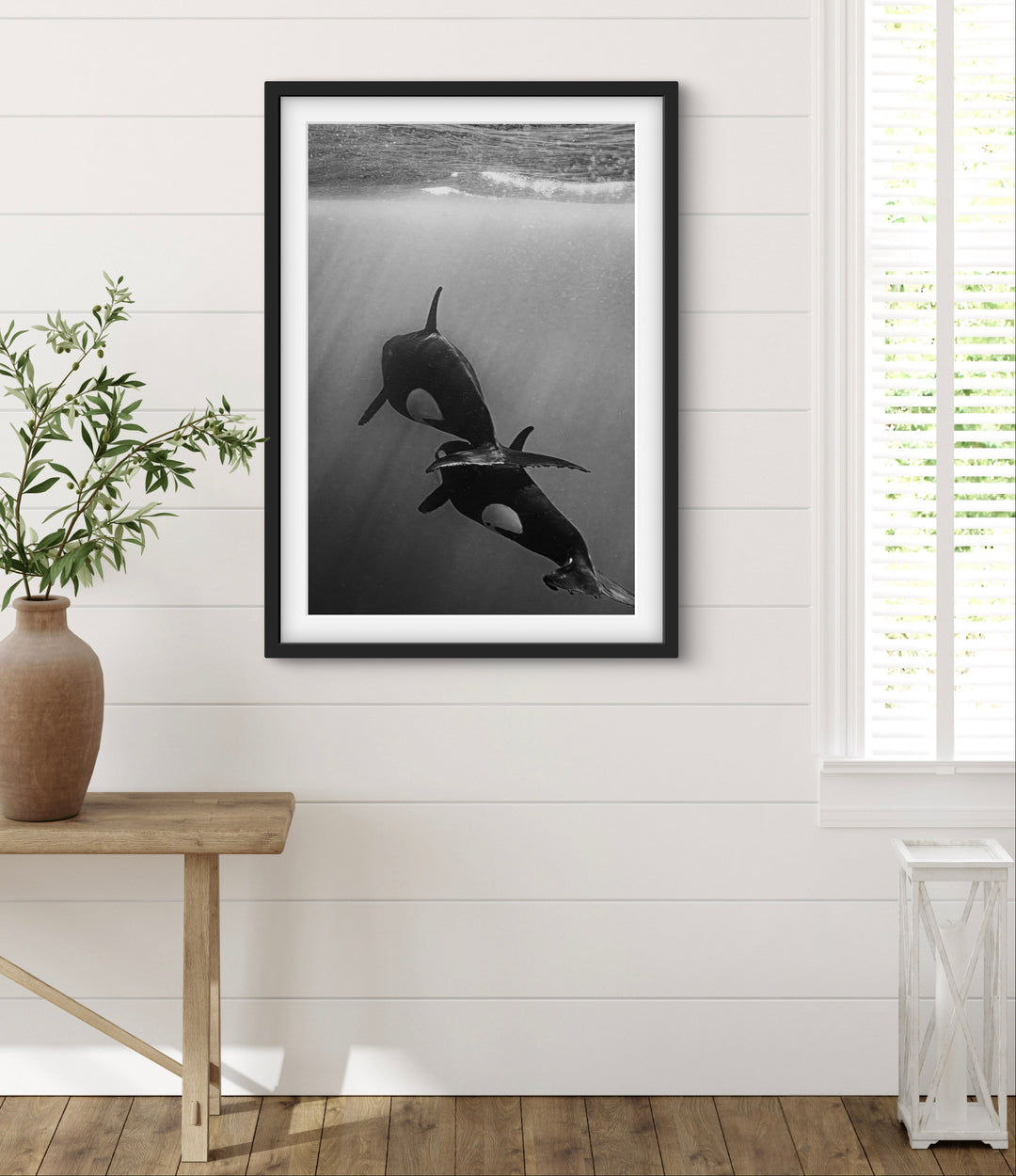 orca 4